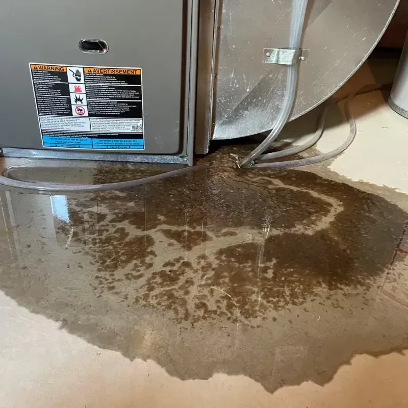 Appliance Leak Cleanup in Ava, MO